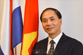 越南驻荷兰大使范越英：进一步推进两国全面伙伴关系