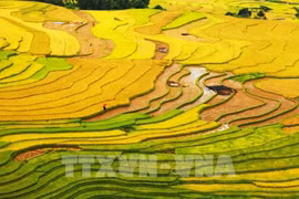 2022年世界旅游大奖：越南获亚洲地区10项提名