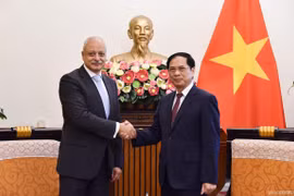 进一步推进越南与埃及在多方面的合作关系
