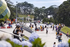 4·30 和5·1假期成为大叻旅游业完全复苏的黄金期