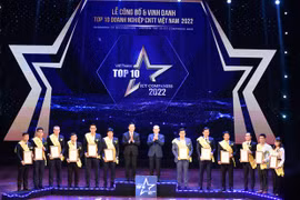 2022年越南信息技术企业10强名单正式出炉