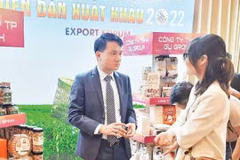 胡志明市出口企业抢抓发展新机遇