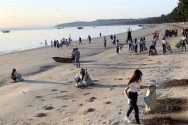 越南海洋小姐大赛的佳丽携手共护蔚蓝大海