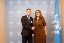 越南出席第13届联合国贸发会议债务管理会议