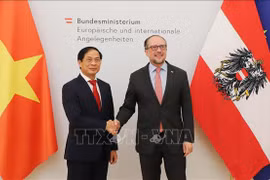 奥地利在加强与越南的经济关系中获益
