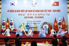 越南国家副主席武氏映春出席越韩建交30周年纪念活动