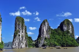 下龙湾世界遗产周在阿联酋2020年迪拜世界博览会举行