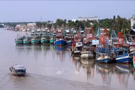 解除IUU“黄牌”警告：坚江省严厉惩治侵犯外国海域的渔船 