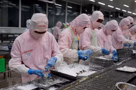 越南成为加拿大企业贸易投资的重要目的地