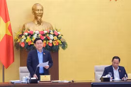 越南国会主席： 继续革新提高国会监督活动的质量与效率