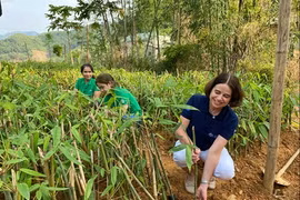澳大利亚驻越大使对西北地区各投资项目进行考察
