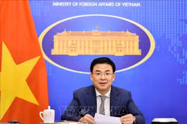 越南-南非第五次政府间伙伴关系论坛线上举行