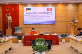 莫桑比克将成为越南企业进入南部非洲国家的门户