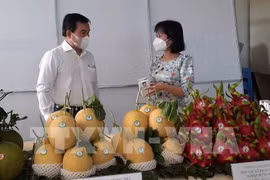 巴地头顿省加强高科技农业的招商引资力度
