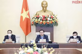 越南第十五届国会常务委员会第九次会议：递交国会审议决定用外国无偿援助资金补充国家财政预算