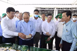 国家主席阮春福：集体经济发展是越南的必然和客观趋势