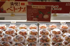 协助企业向日本市场出口农产品和食品