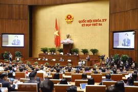 越南第十五届国会第三次会议新闻公报（第二号）