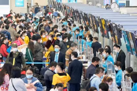 4.30和5.1节假期将至，内排和新山一机场客流量创下记录