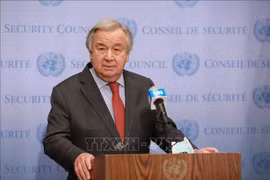 越南支持联合国升级为一个更加强大有效的组织