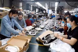 越南贸易数据库门户网站即将开通