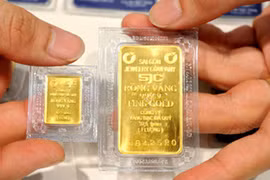 12日上午越南国内黄金价格在6950万越盾区间波动 