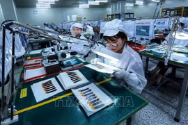 越南驻印尼大使谢文聪：越南与印尼关系日益务实有效发展