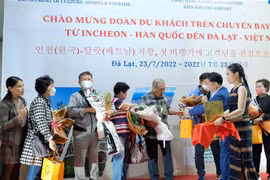 至林同省大叻市的国际航线恢复运营