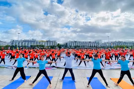 约3000人参加在广宁省举行的第八届国际瑜伽日活动
