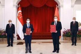 越新加强工贸合作
