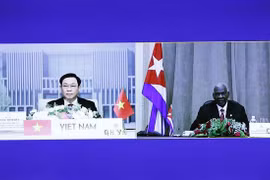 越南国会主席王廷惠与古巴国会主席举行视频会谈