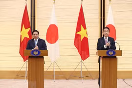 本神奈川大学教授：日本政府高度重视对越关系