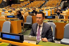 越南希望联合国继续支持越南的发展事业