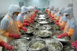 越南虾类出口额有望达到40多亿美元