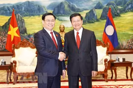 越南国会对外委员会主任武海河：传承与弘扬越老特殊关系