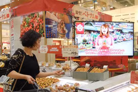 越南对日本出口商品种类日益丰富