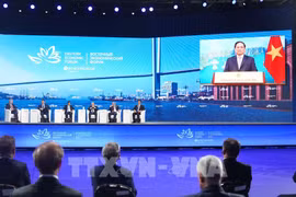 东方经济论坛：多个俄罗斯大型企业关注越南市场