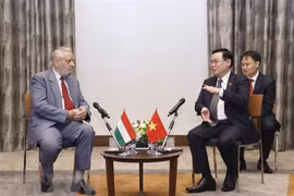 越南国会主席王廷惠会见匈牙利-越南友好协会领导