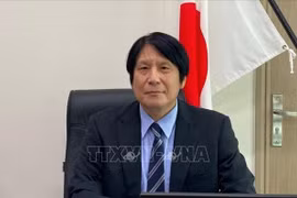 加强日本与岘港市及越南中部各省的全面合作关系
