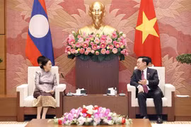 越南国会主席王廷惠会见老挝国家副主席巴妮·雅陶都