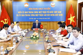 进一步加强越南祖国阵线与老挝建国阵线之间的协作配合