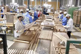 经济外交：阮文草大使呼吁充分利用推动货物渗透欧盟市场的“黄金时间”