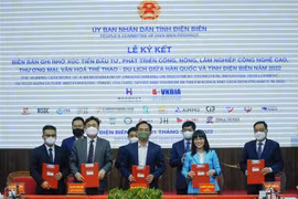 奠边省吸引韩国企业的投资