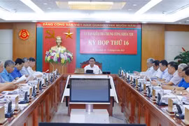 越共中央检查委员会第16次会议：审议对部分党组织和领导干部给予党纪处分
