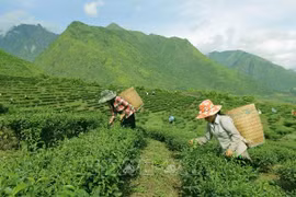少数民族地区和山区经济社会发展国家目标计划扶持机制和政策更新