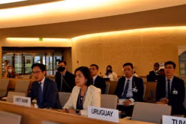 越南在联合国人权理事会上承诺促进性别平等
