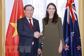 越南国会对外委员会主任：促进和深化越南与澳大利亚和新西兰的关系