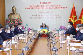 加强越老两国政党中央组织部的合作