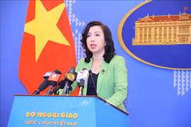 越南公安部和外交部建议各国配合解决困难 尽早对新护照签发签证