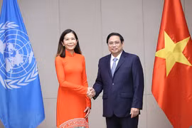 联合国驻越南协调员宝琳·塔梅西斯：为建设一个更具韧性的越南做出贡献